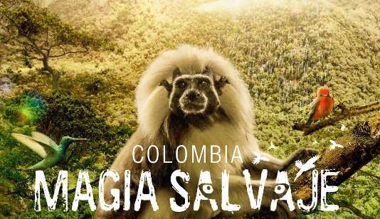Colombia Magia Salvaje video
