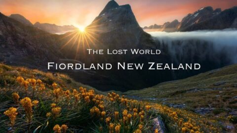 Fiordland New Zealand Scenery video