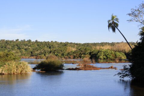 Iguazu River View