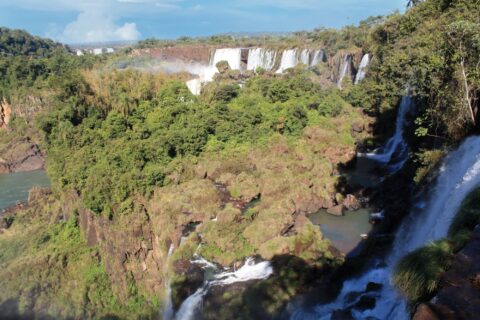 Waterfalls and Rainforest