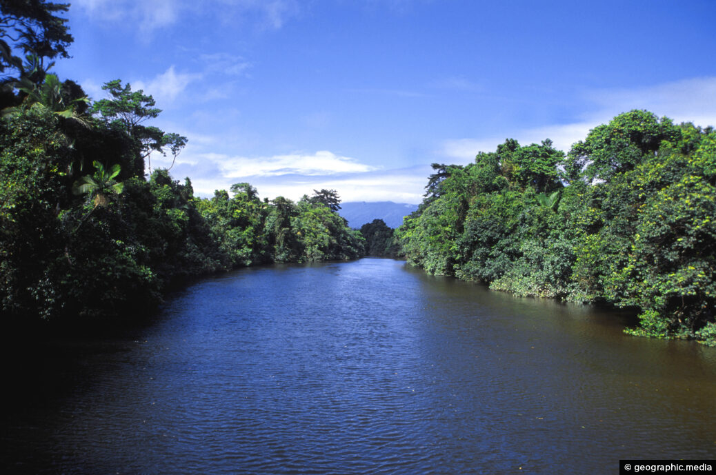 Daintree River in the Daintree Rainforest