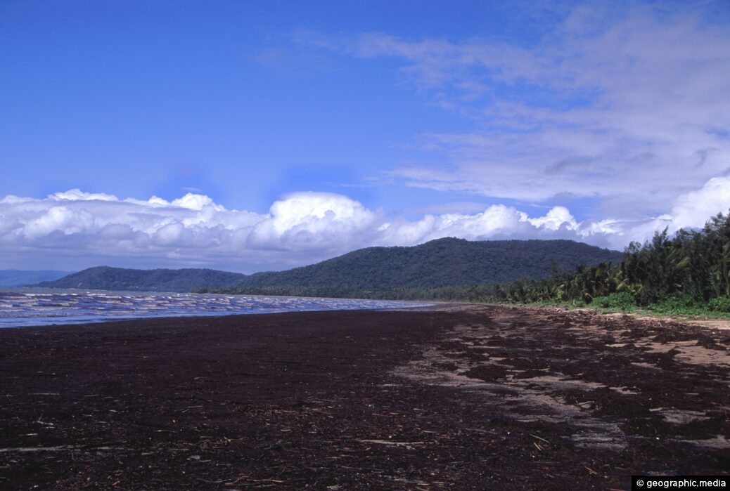 Storm Debris Daintree