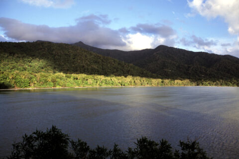 Cape Tribulation View