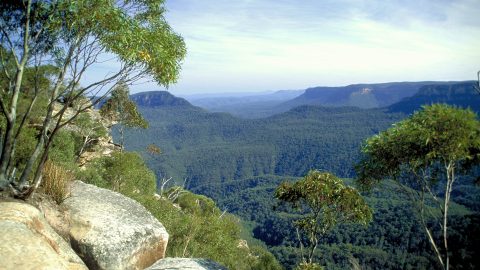 Echo Point View