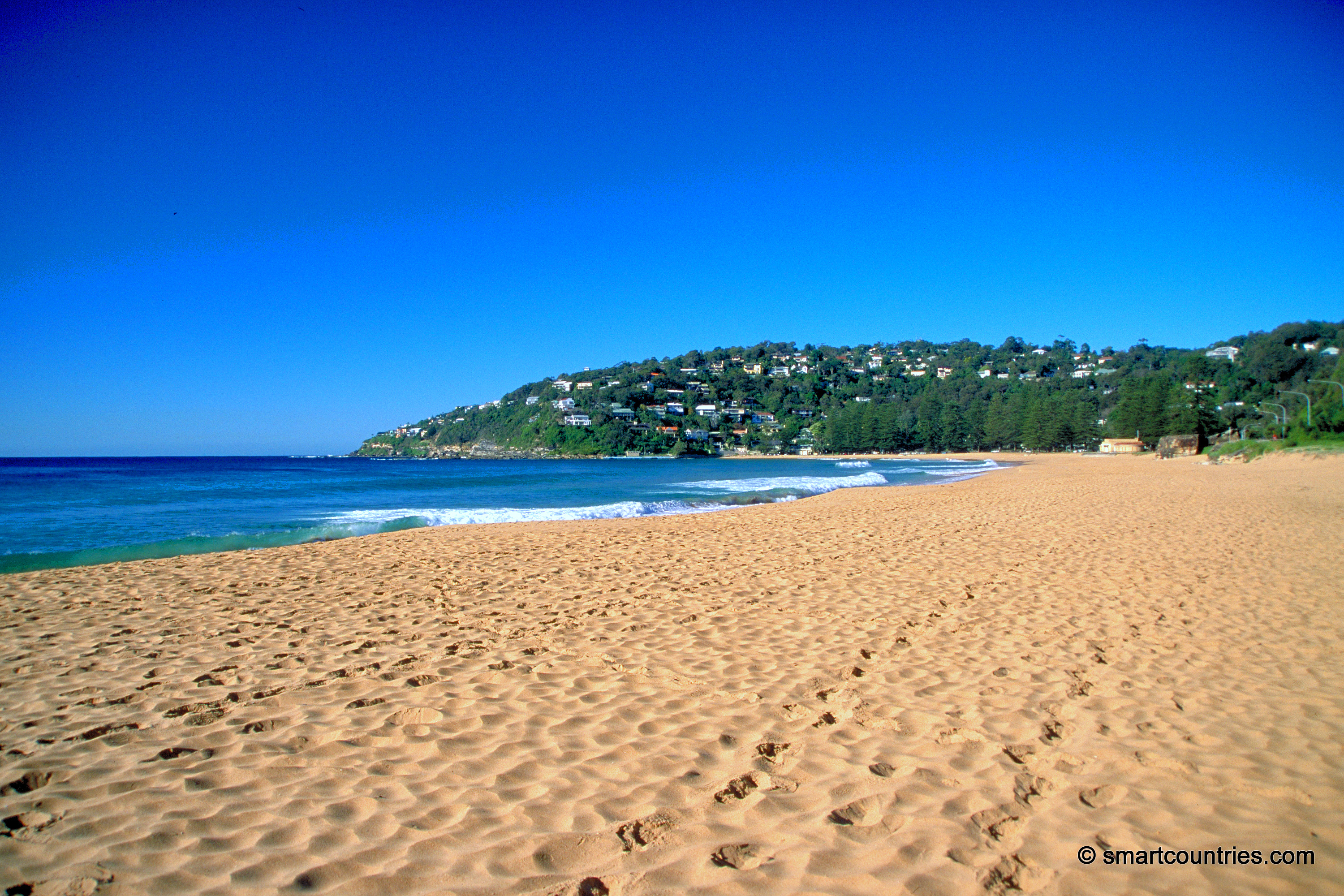 Palm Beach Sydney