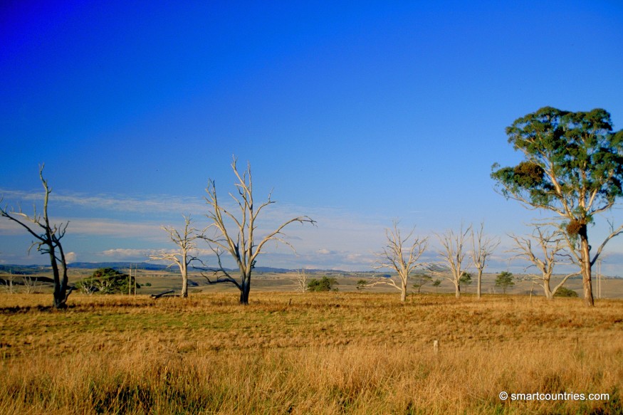 Inland Rural NSW