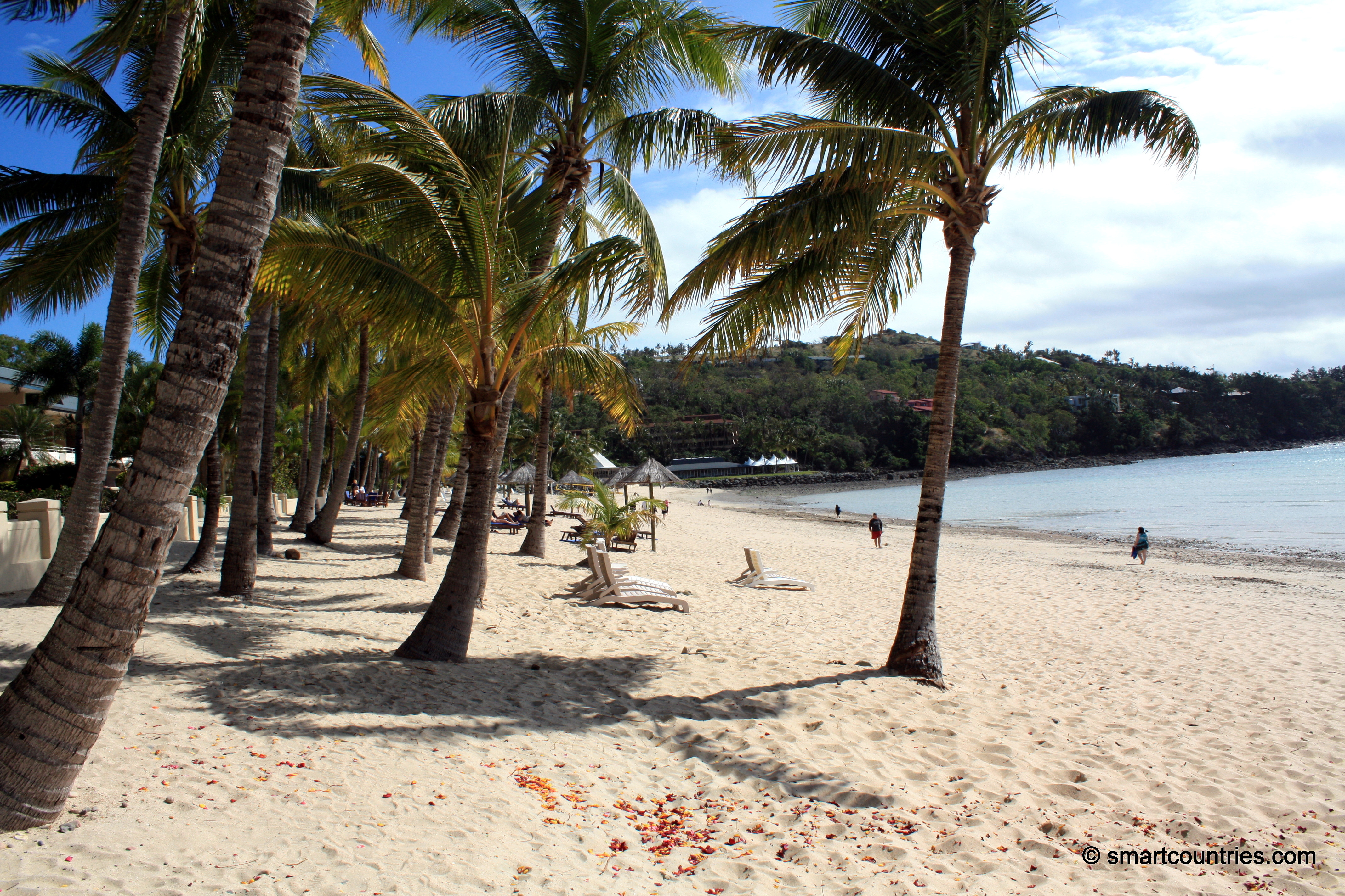 Catseye Beach and Palm Trees