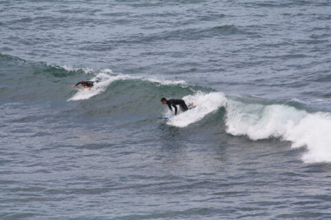Surfing at Bells Beach