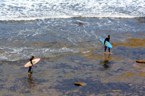 Leaving the surf at Bells Beach