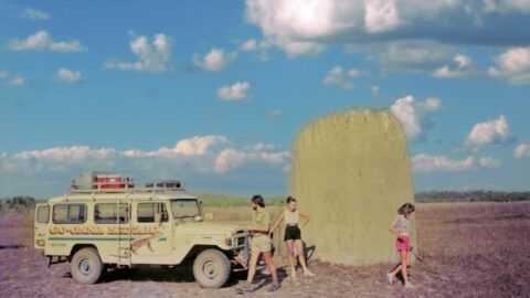 Magnetic Termite Mounds in Litchfield National Park