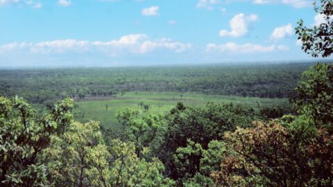 Litchfield Savanna