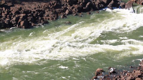 Section of Iguaçu River