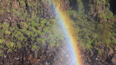 Rainbow over Iguacu River