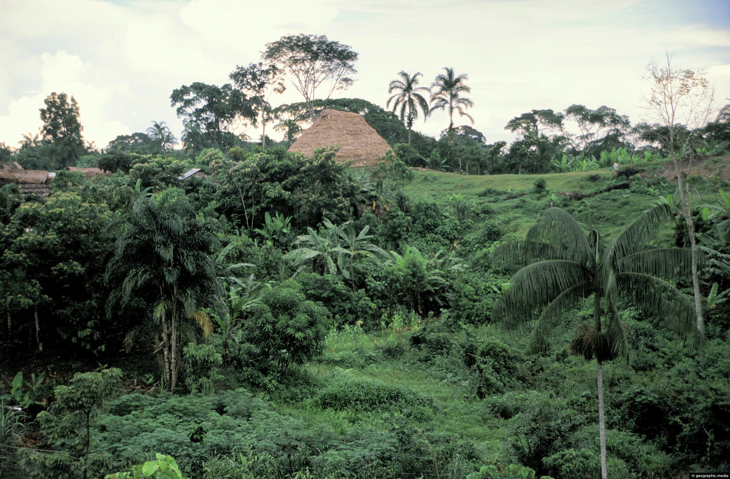 A small settlement in the Amazon