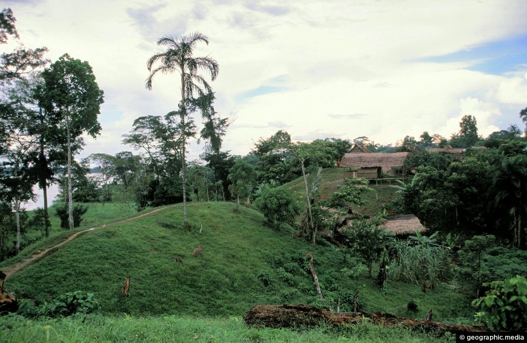 Settlement in the Amazon
