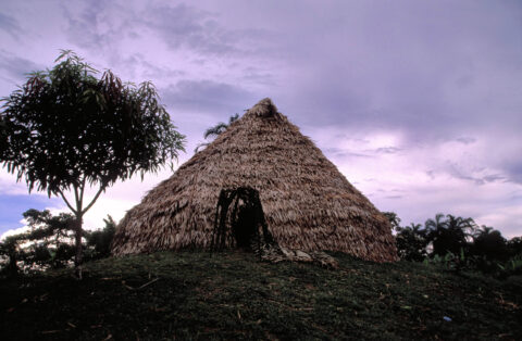 Thatched House in the Amazon