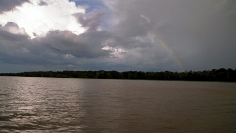 Amazon River Width