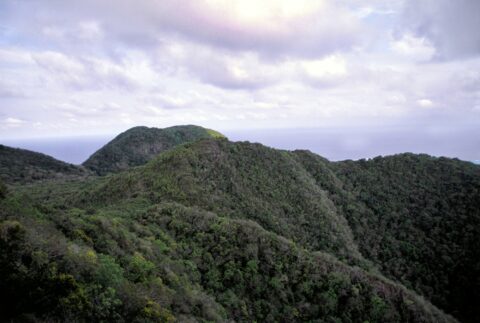 Providencia Island Mountains