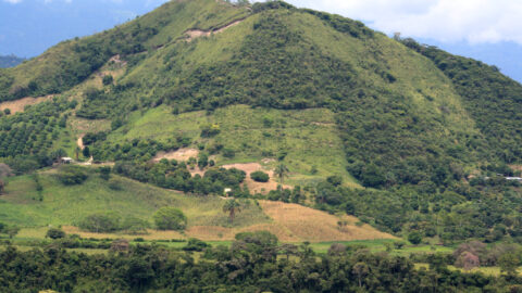 Rural Eastern Cordillera