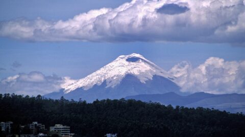 Cotopaxi Viewed From Quito