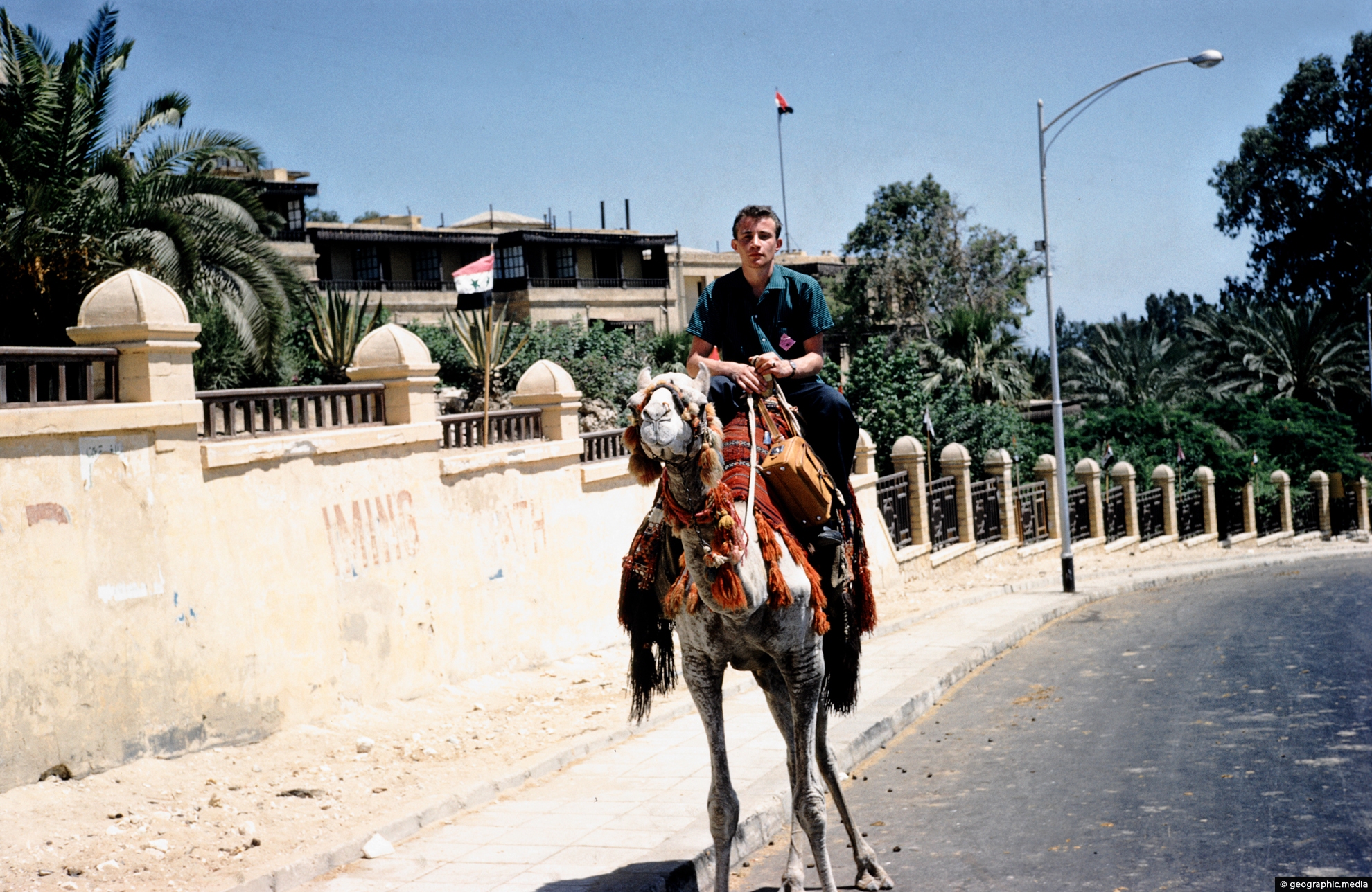 Camel ride in Cairo