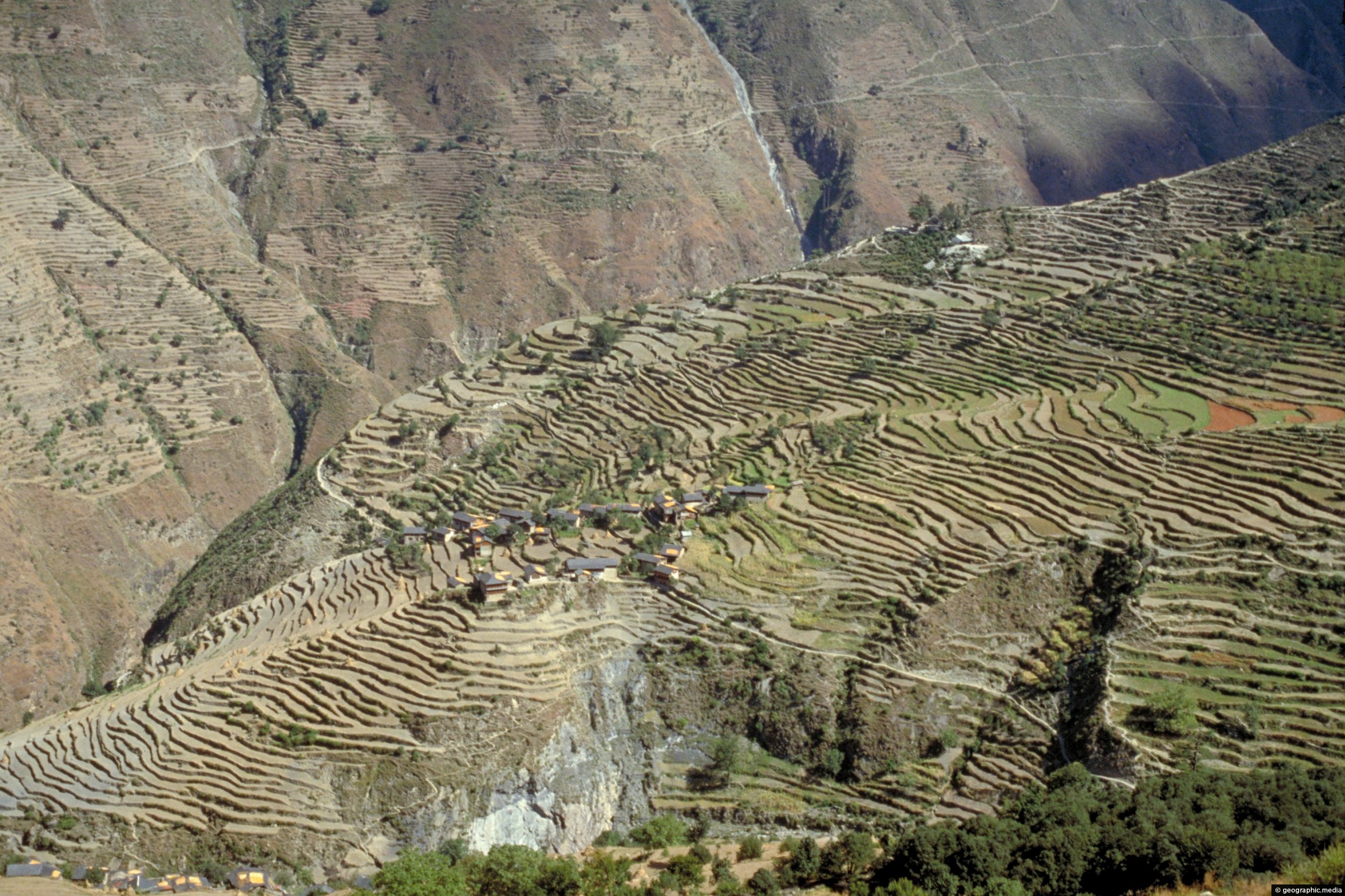 Rural Terraces in Bharmour