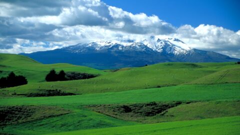Mt Ruapehu Farmland