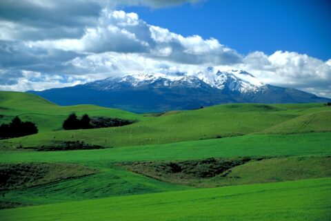 Mt Ruapehu Farmland