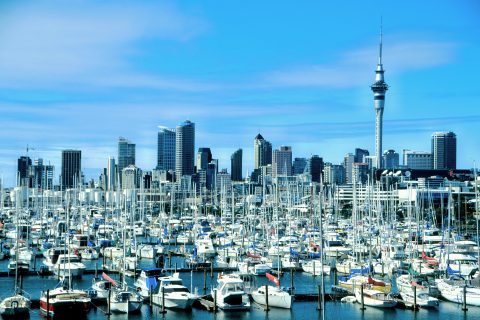 Auckland City Skyline from Westhaven Marina