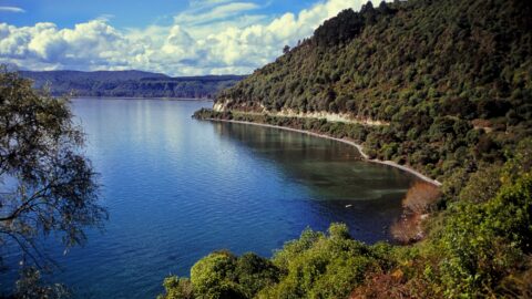 Lake Taupo View