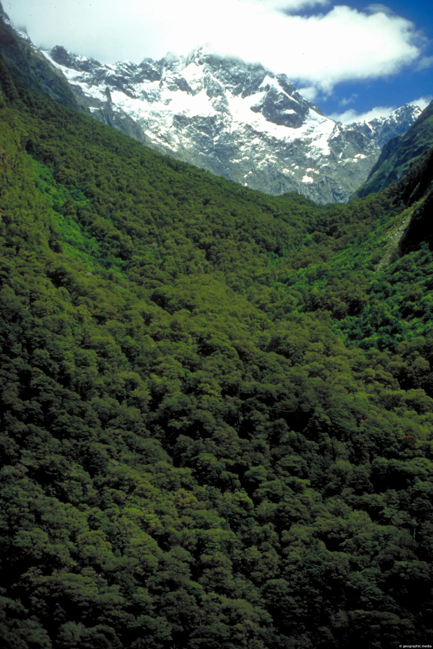 A slice of Fiordland National Park