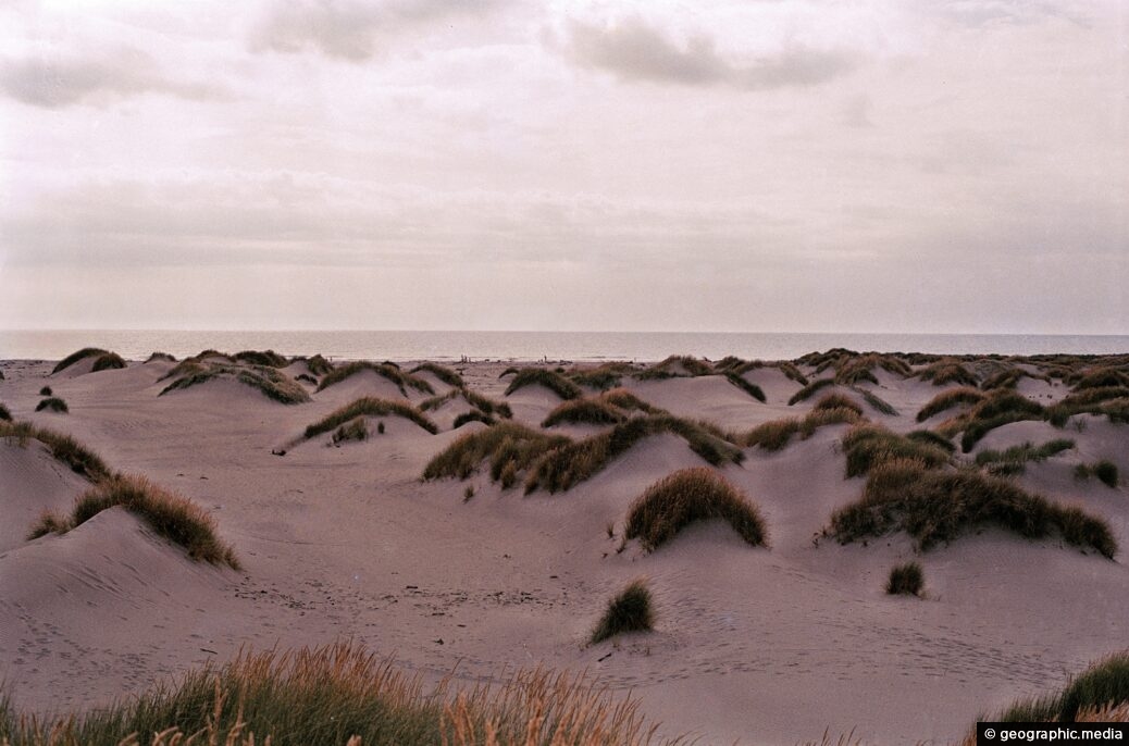 Waikanae Sand Dunes