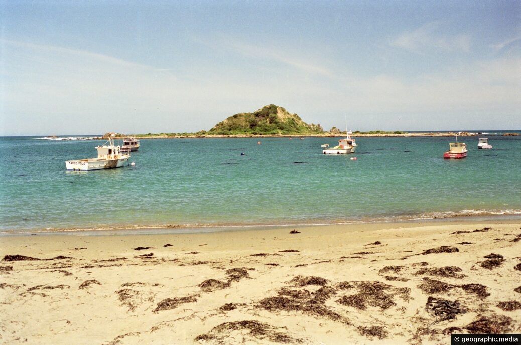 Taputeranga Island at Island Bay, Wellington