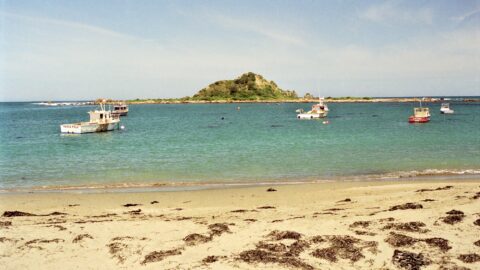 Taputeranga Island at Island Bay, Wellington