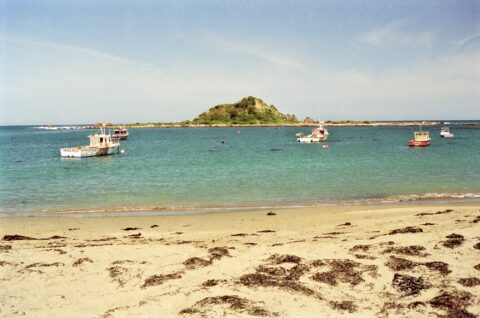 Taputeranga Island at Island Bay, Wellington