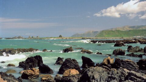 Rocky Coastline at Island Bay