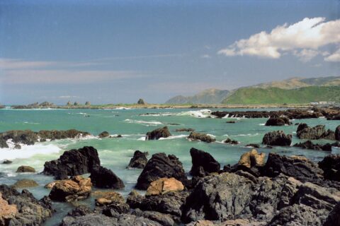 Rocky Coastline at Island Bay