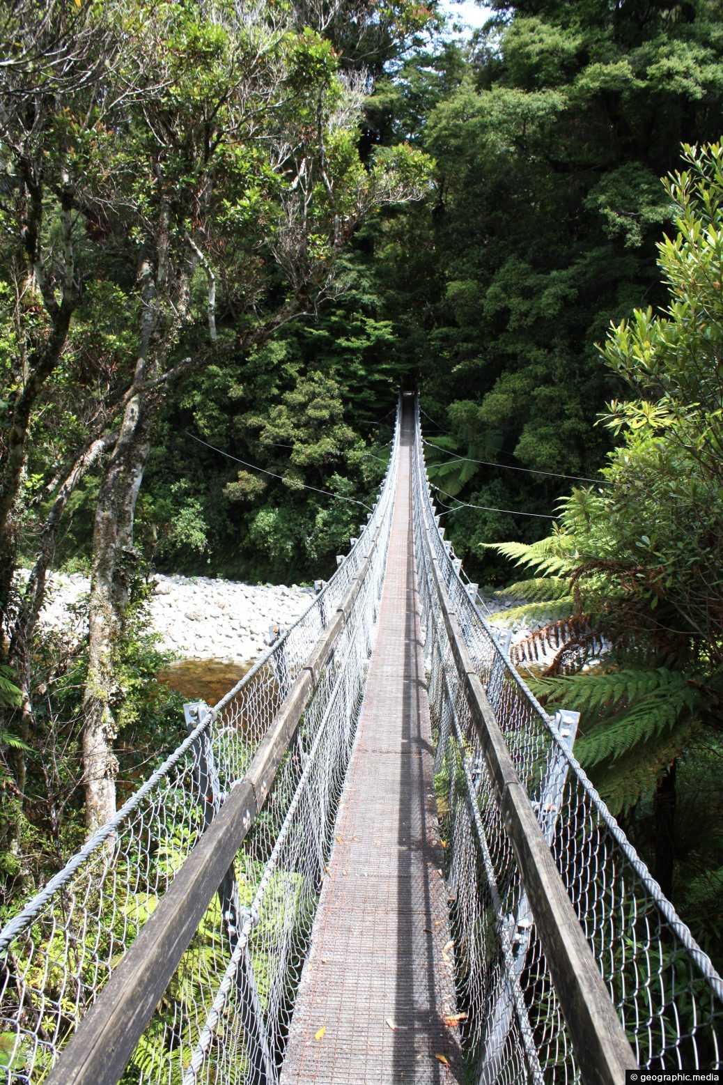 Swing Bridge at Kaitoke Regional Park