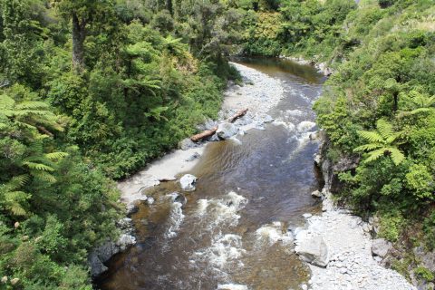Hutt River Kaitoke