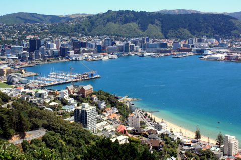 Wellington City and Harbour