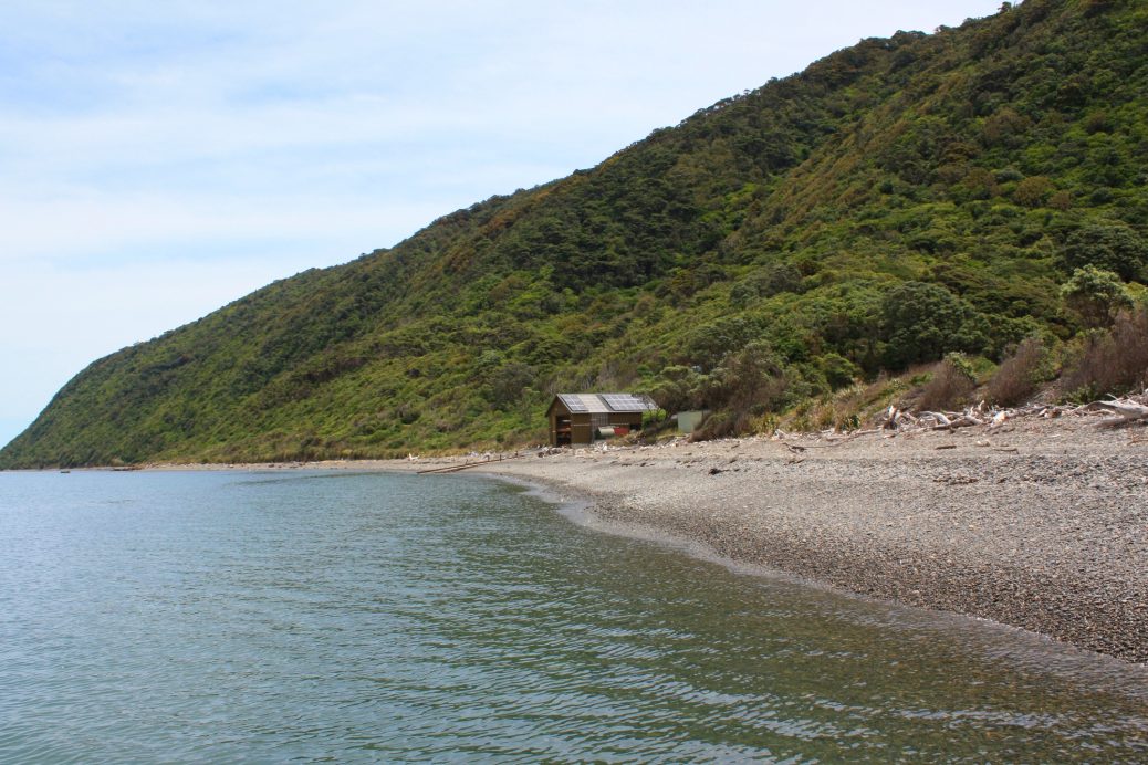 Kapiti Island Coast