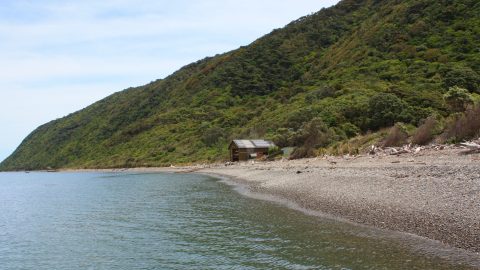 Kapiti Island Coast