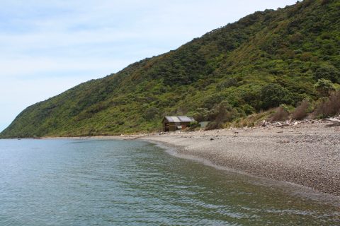 Kapiti Island Coast