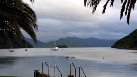 Queen Charlotte Sound