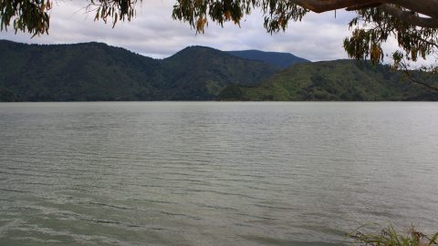Pelorus Sound