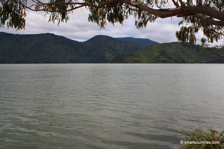 Pelorus Sound