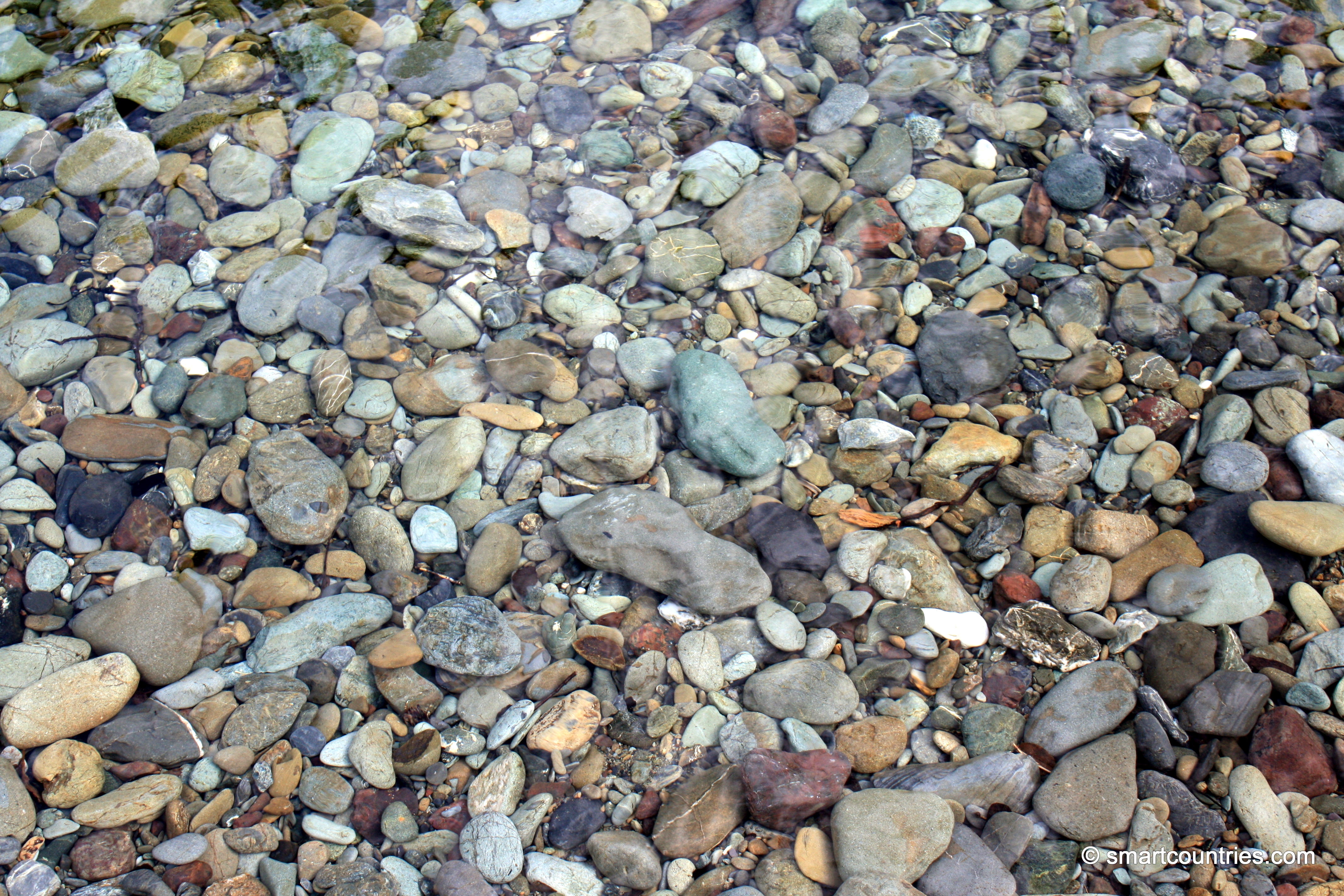 Clear Water at Pelorus River