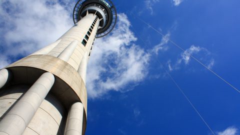 Skytower & Bungee in Auckland
