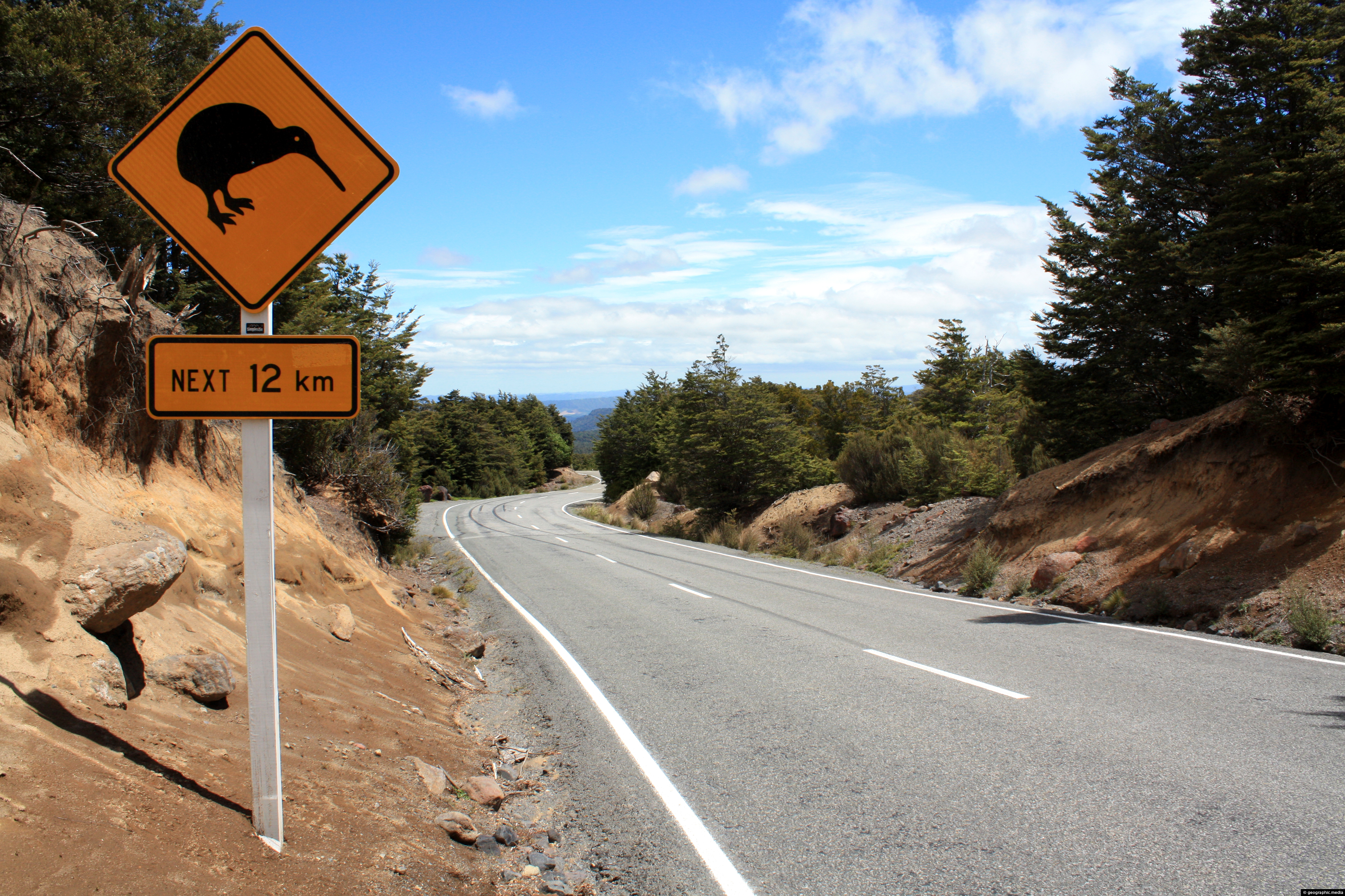 Kiwi Road Sign Mount Ruapehu