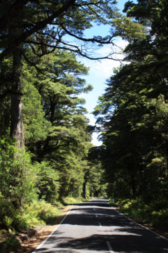 Ohakune Mountain Road New Zealand